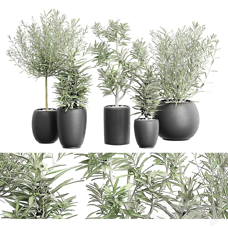 FLOWER PACK 121 3D Model FLOWER PACK 121 3D Model