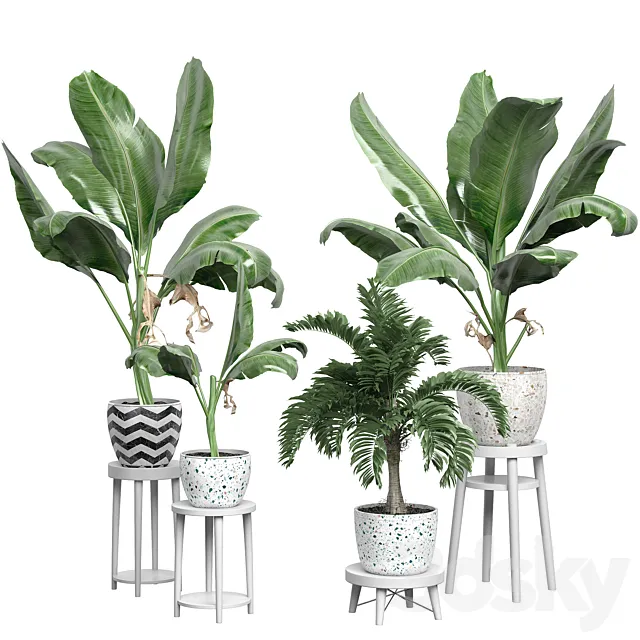 Flower Pack 124 3D Model