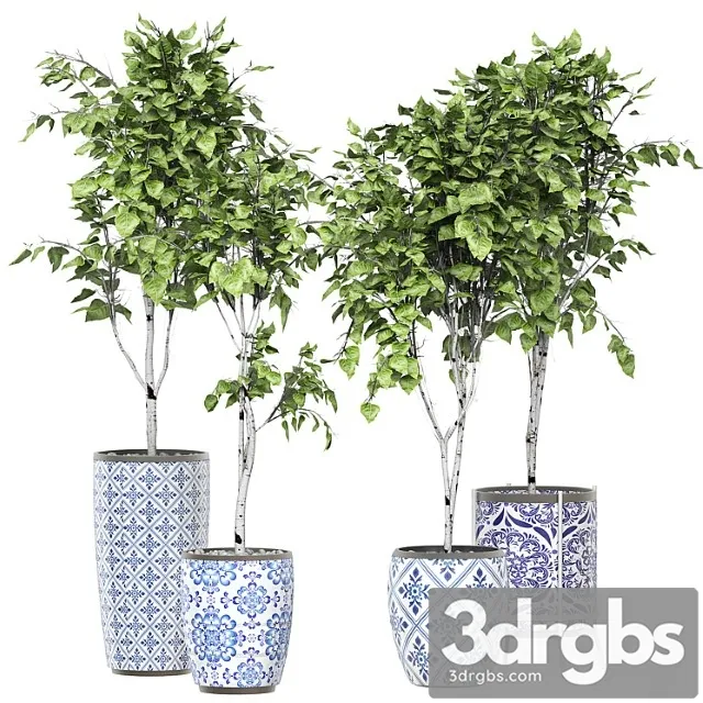 Flower Pack 147 3D Model Download