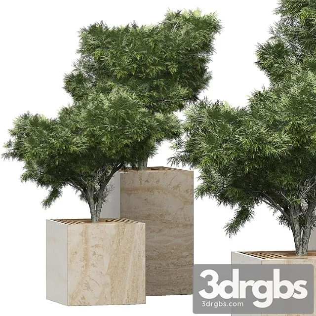 Flower Pack 153 3D Model Download