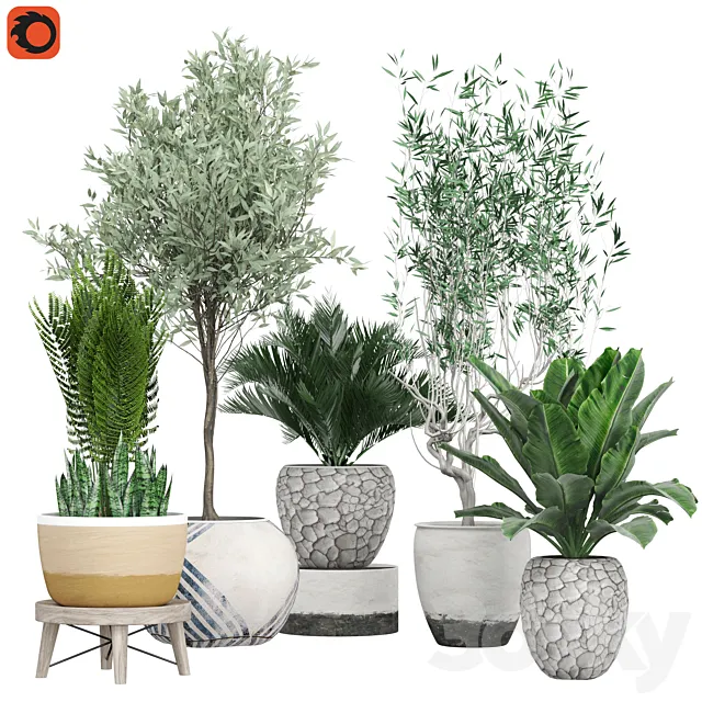 Flower Pack 171C 3D Model