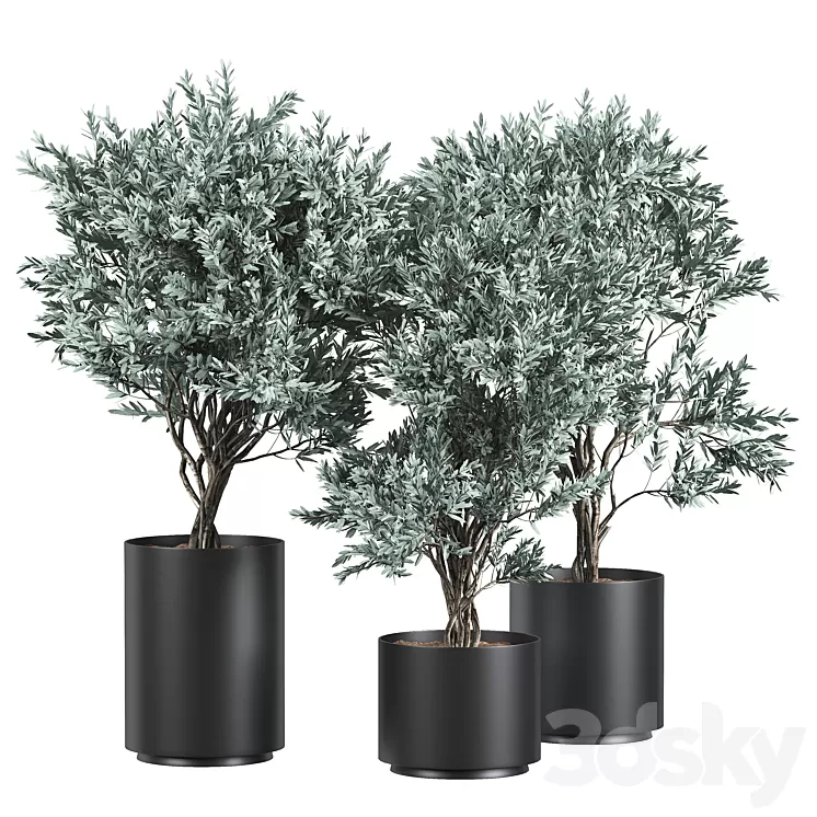 Flower Pack 184C 3D Model