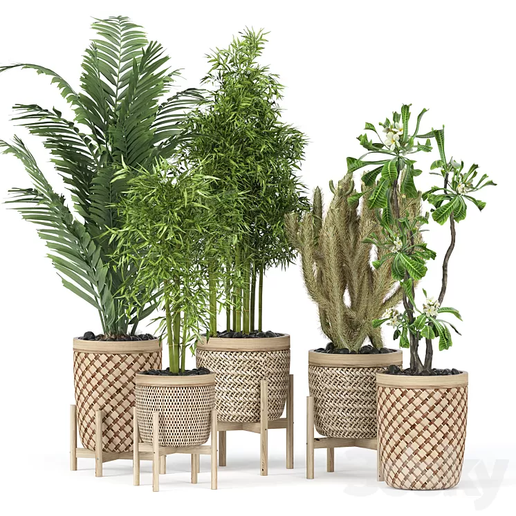 Flower Pack 189C 3D Model