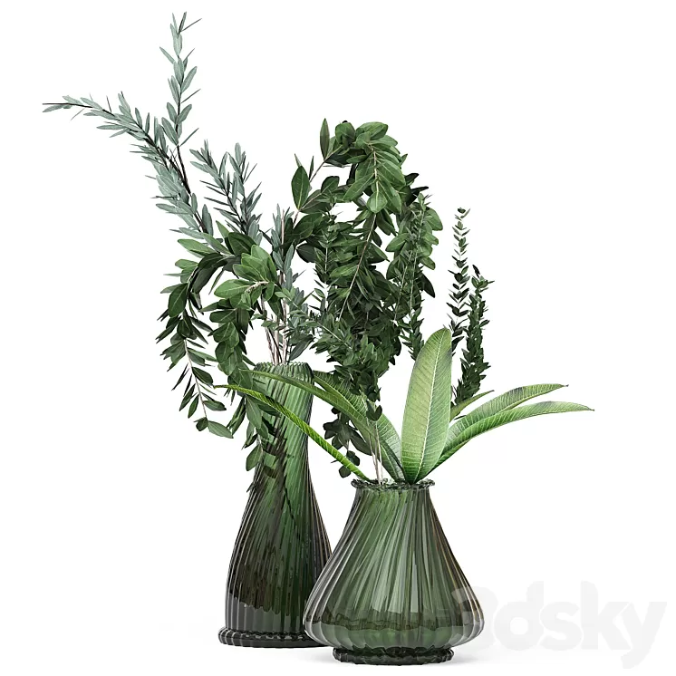 Flower Pack 206C 3D Model