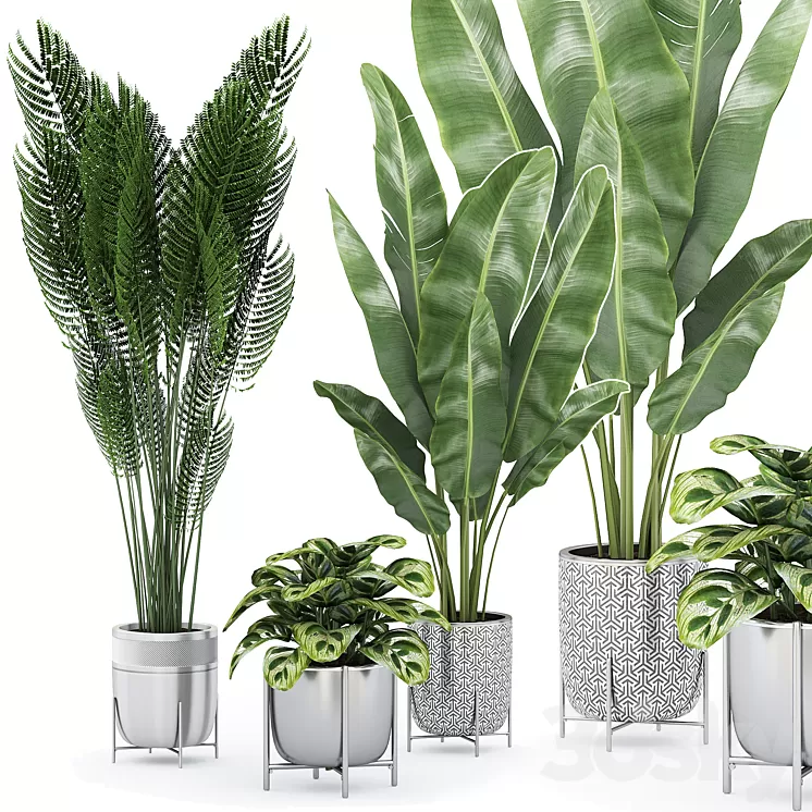 Flower Pack 225С 3D Model Free Download