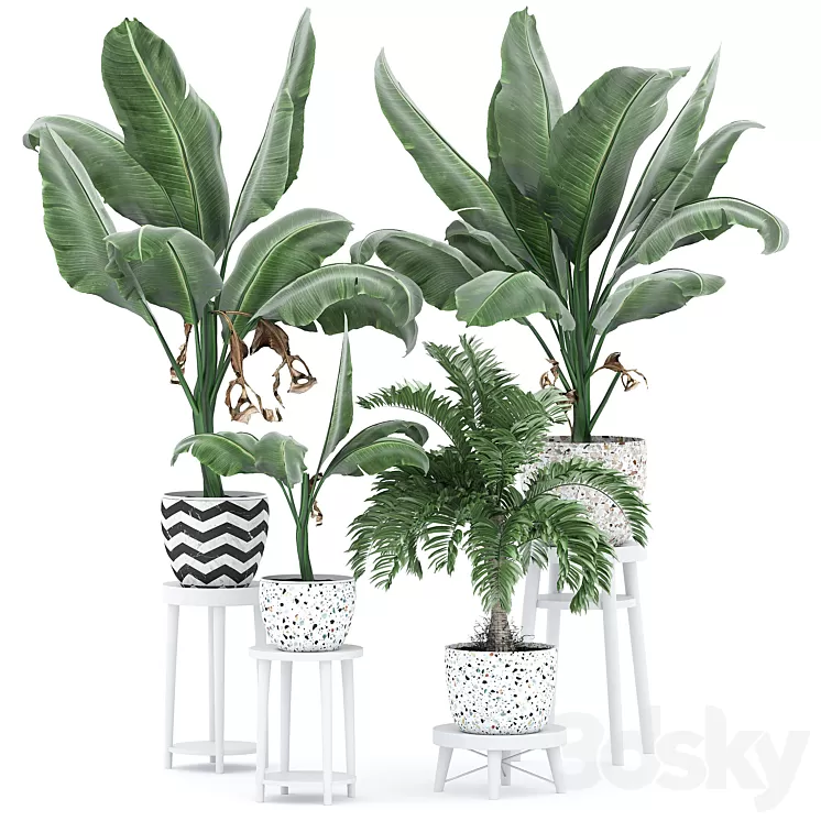 Flower Pack 231С 3D Model Free Download