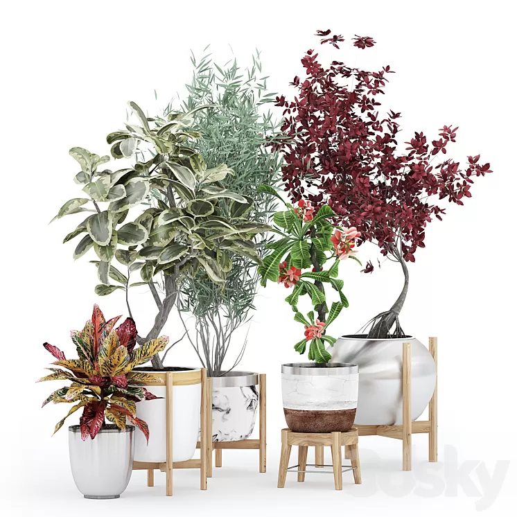 Flower Pack 233С 3D Model Free Download