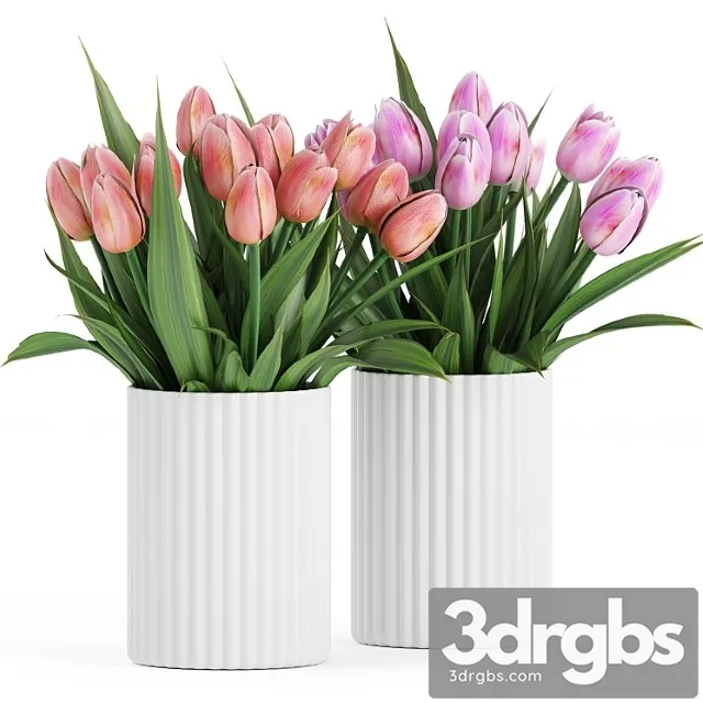 Flower Pack 250C Tulips 3D Model Download Flower Pack 250C Tulips 3D Model Download