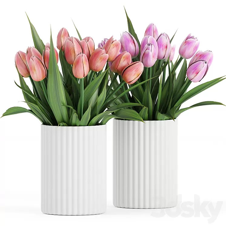 Flower Pack 250C Tulips 3D Model Free Download