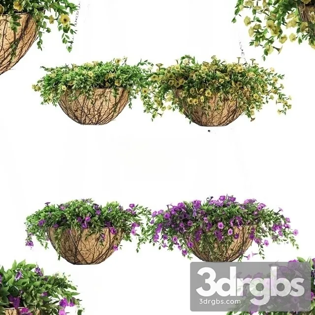 Flower Pot Chain Petunia 4 Models 3D Model Download Flower Pot Chain Petunia 4 Models 3D Model Download