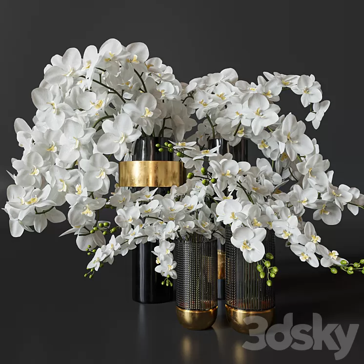 Flower Set 009 Orchids. 3D Model Free Download
