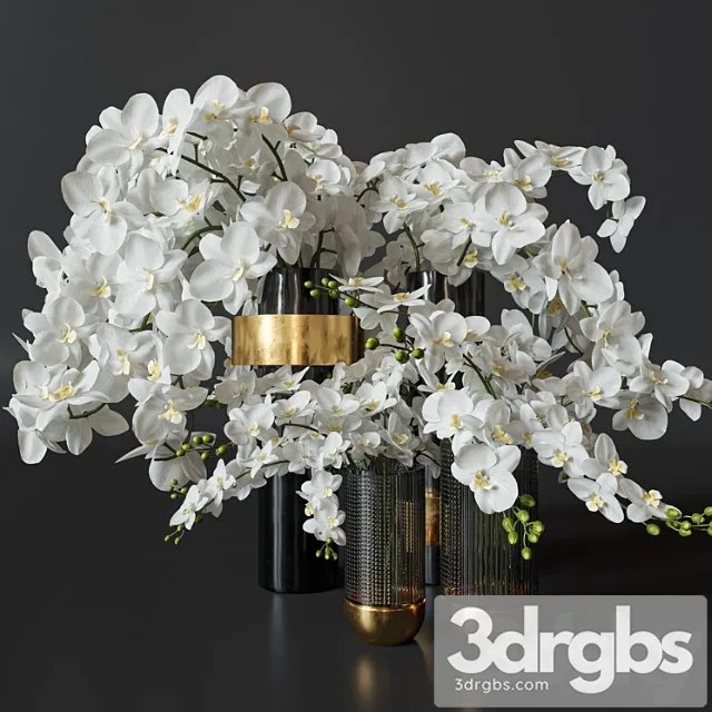 Flower set 009 orchids. Flower set 009 orchids.