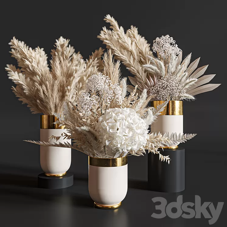 Flower Set 010 Pampas. 3D Model Free Download