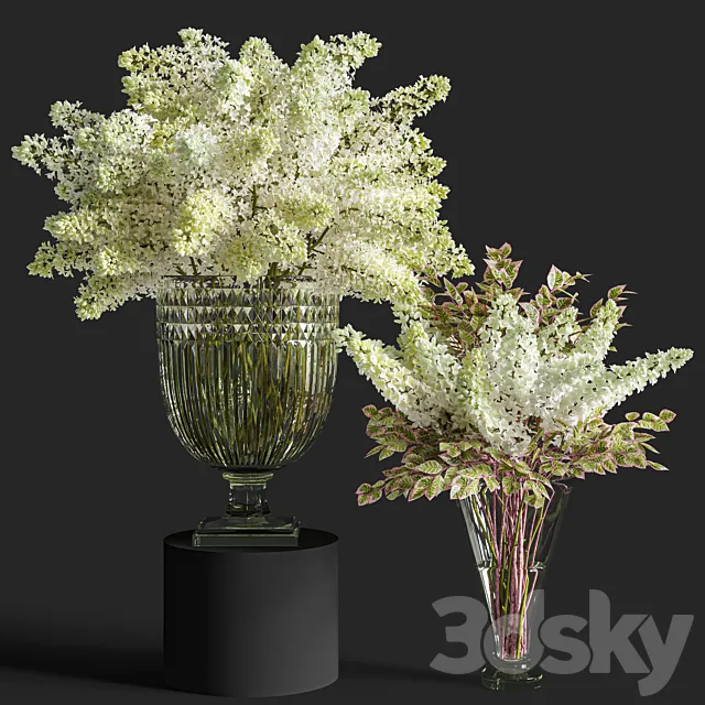 Flower Set 016 Lilac 3D Model Flower Set 016 Lilac 3D Model