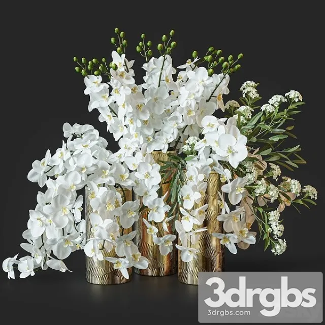 Flower Set 033 Orchids 3D Model Download Flower Set 033 Orchids 3D Model Download