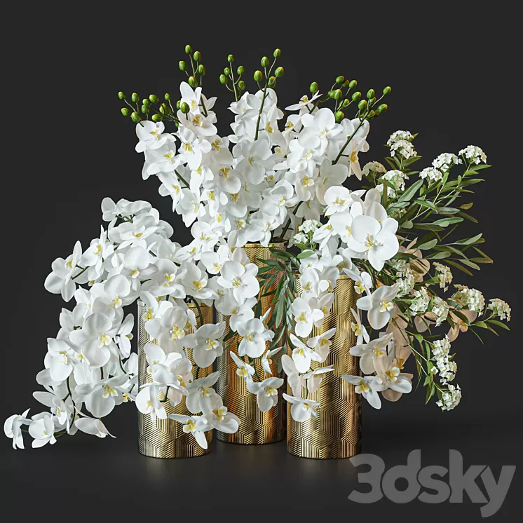 Flower Set 033 Orchids 3D Model Free Download