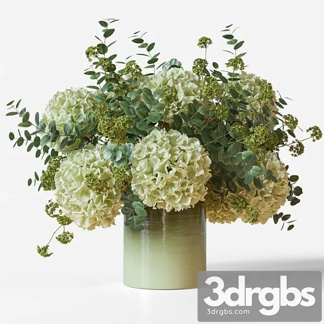 Flower Set 051 Green Hydrangea 3D Model Download Flower Set 051 Green Hydrangea 3D Model Download