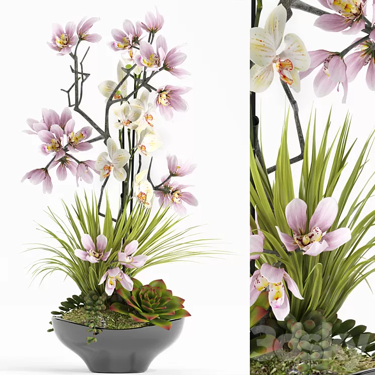 FLOWER SET 21 3D Model FLOWER SET 21 3D Model