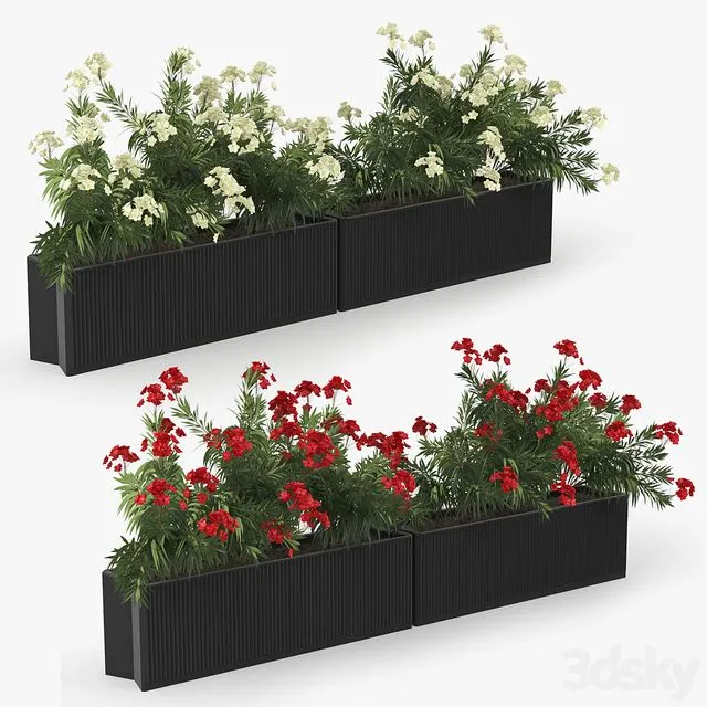 Flowerbed Nerium 3D Model Flowerbed Nerium 3D Model
