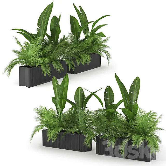Flowerbed Palm Two 3DModel Flowerbed Palm Two 3DModel