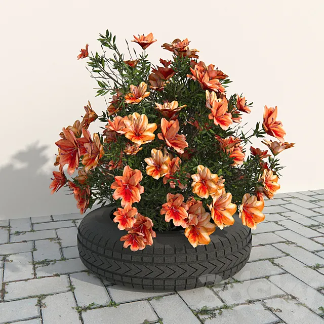 flowerbed red azaleas 3D Model