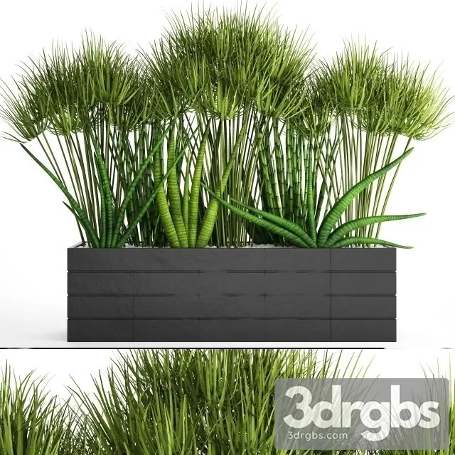 Flowerbed With Plants 3D Model Download