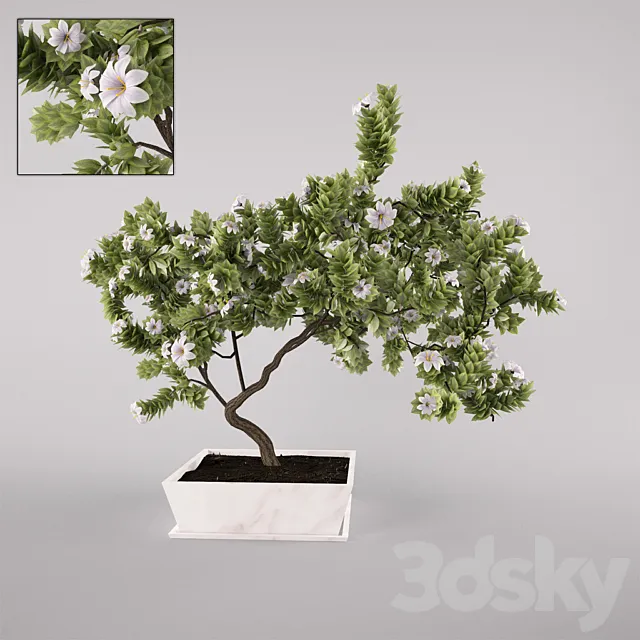 flowering tree 3D Model flowering tree 3D Model