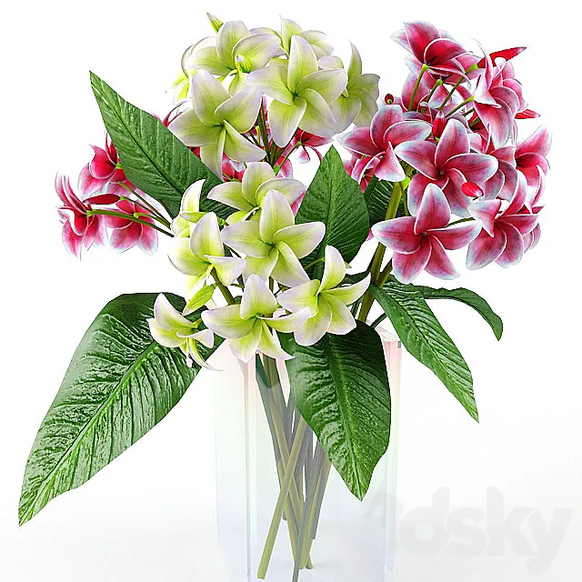 flowers 3D Model flowers 3D Model