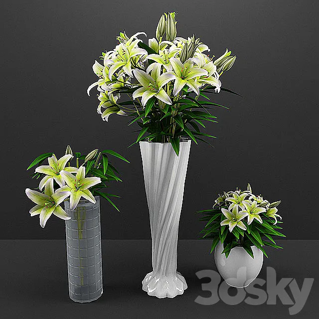 flowers 3D Model flowers 3D Model