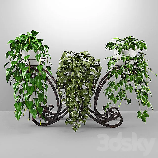 flowers 3DModel flowers 3DModel