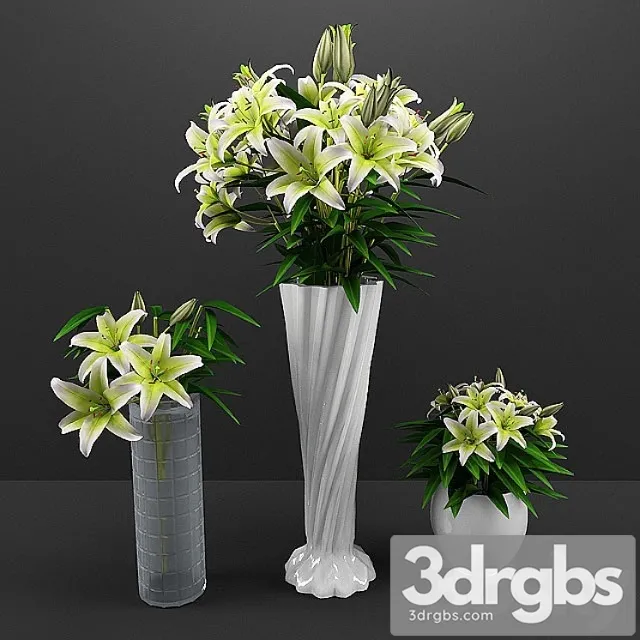 Flowers 40 3D Model Download Flowers 40 3D Model Download