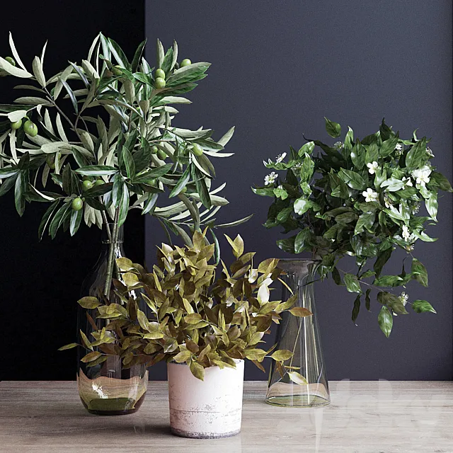 Flowers. branch 3 3DModel Flowers. branch 3 3DModel