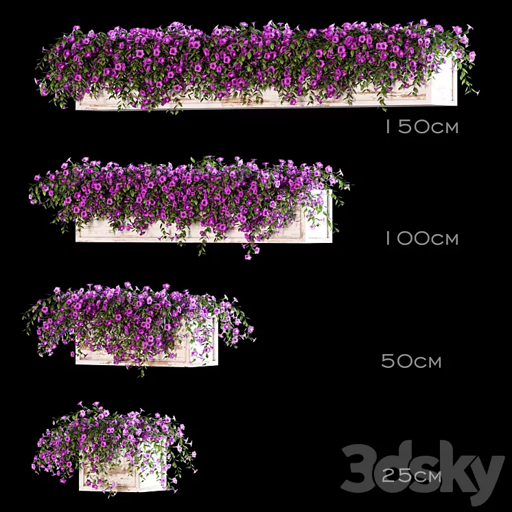 Flowers for the balcony 3D Model