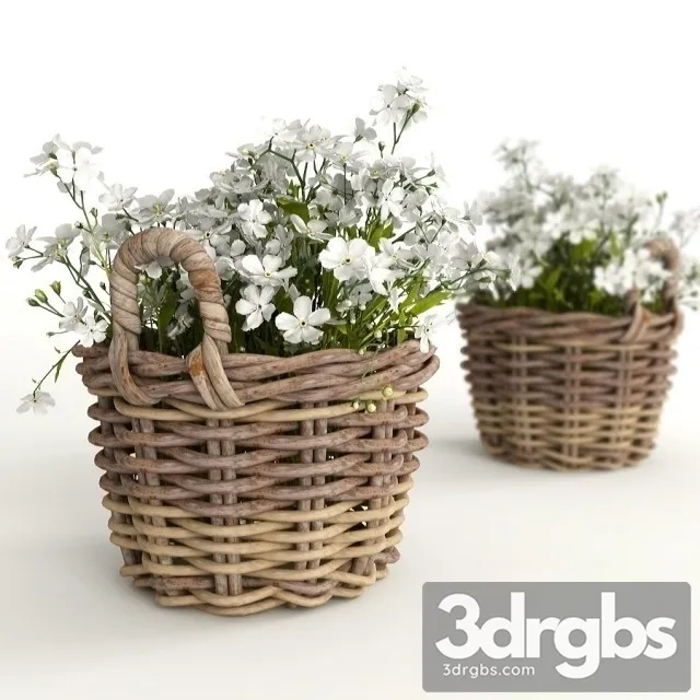 Flowers in a basket 3D Model Download Flowers in a basket 3D Model Download