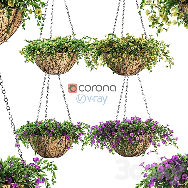 Flowers in a flower pot on a chain. Petunia. 4 models 3DModel Flowers in a flower pot on a chain. Petunia. 4 models 3DModel
