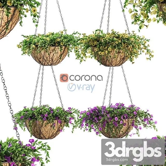 Flowers in a flower pot on a chain. petunia. 4 models Flowers in a flower pot on a chain. petunia. 4 models