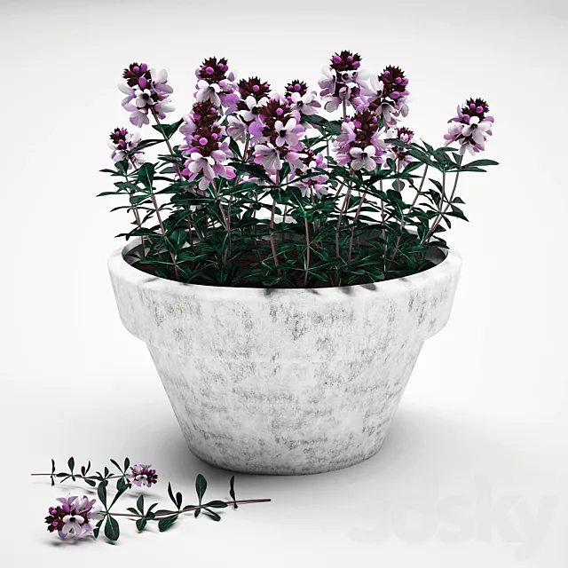 Flowers in a pot 3DModel Flowers in a pot 3DModel