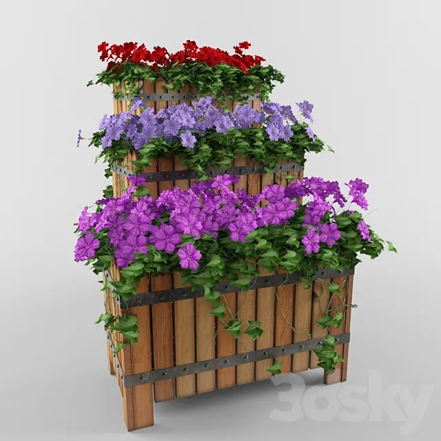 Flowers in boxes 3D Model