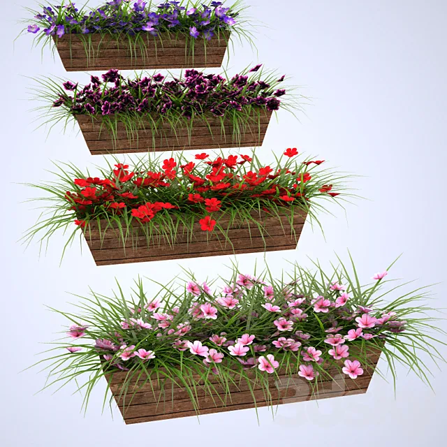 Flowers in boxes mounted 3D Model