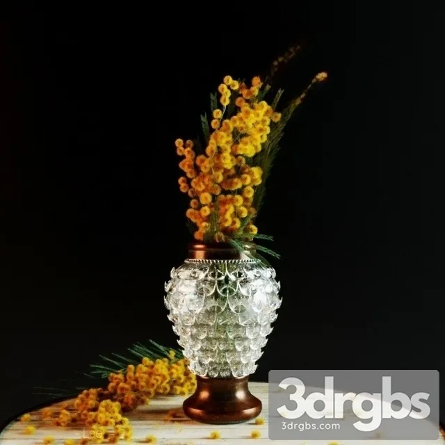 flowers mimosa 3D Model Download flowers mimosa 3D Model Download