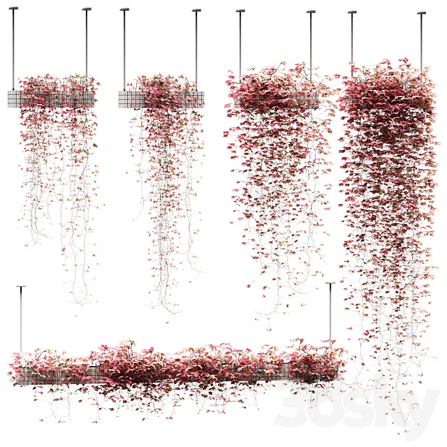 Flowers on the shelves. 5 models 3DModel Flowers on the shelves. 5 models 3DModel