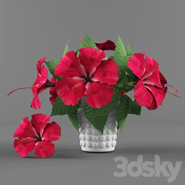 Flowers vase and Hibiscus 3D Model Flowers vase and Hibiscus 3D Model