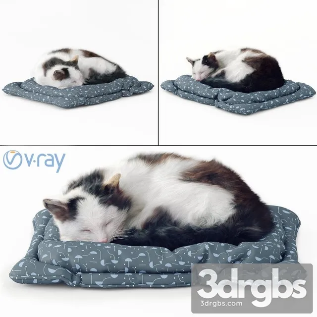 Fluffy Cat 3D Model Download