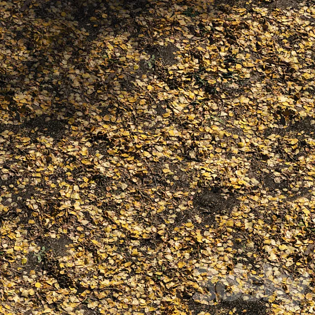 Foliage Autumn 3D Model Foliage Autumn 3D Model