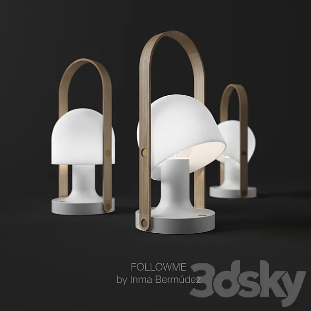 FollowMe lamp 3D Model