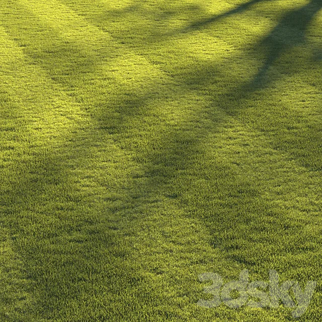 Football pitch lawn 3D Model Football pitch lawn 3D Model