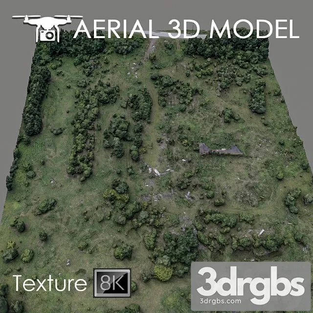 Forest 60 3D Model Download