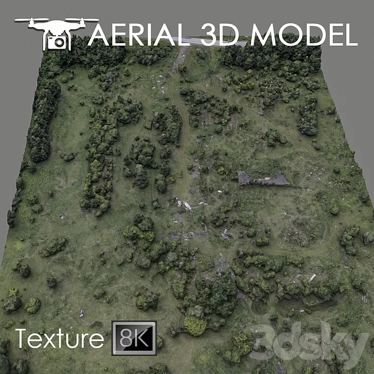 Forest 60 3D Model - 3DSKY Decor Helper