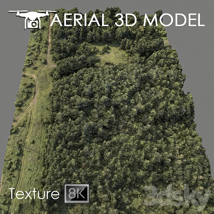 Forest 74 3D Model