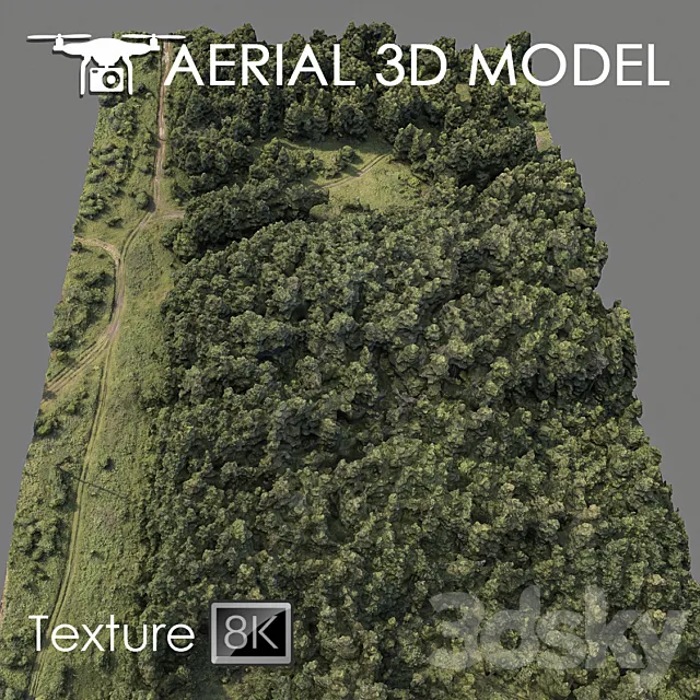 Forest 74 3DModel